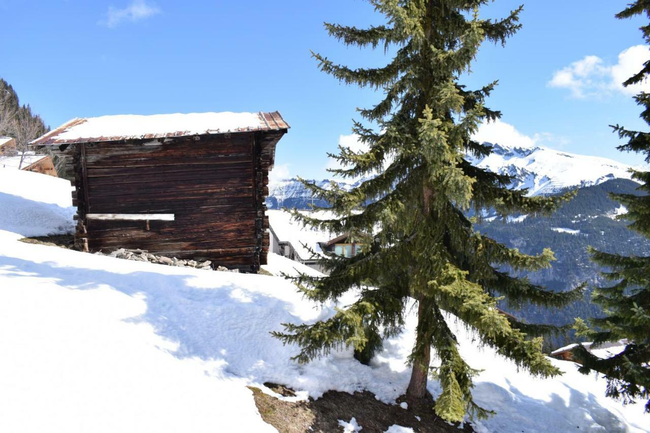 Sportlodge Muerren Exterior foto